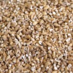 Pin Head Oatmeal 25kg