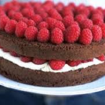 Rich Choc Sponge Mix 12.5kg