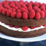 Chocolate Sponge (Multi use) 12.5kg