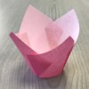 Tulip Cup 160x50 Pink 70g (200)